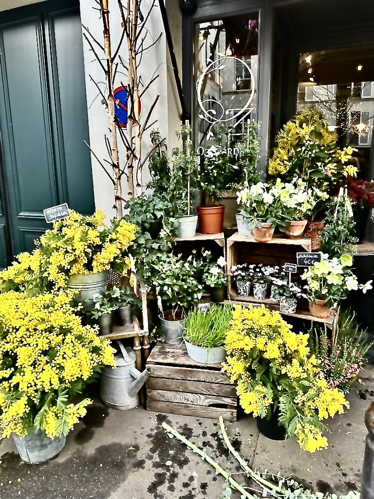 Paris fleuriste overflowing with mimosa