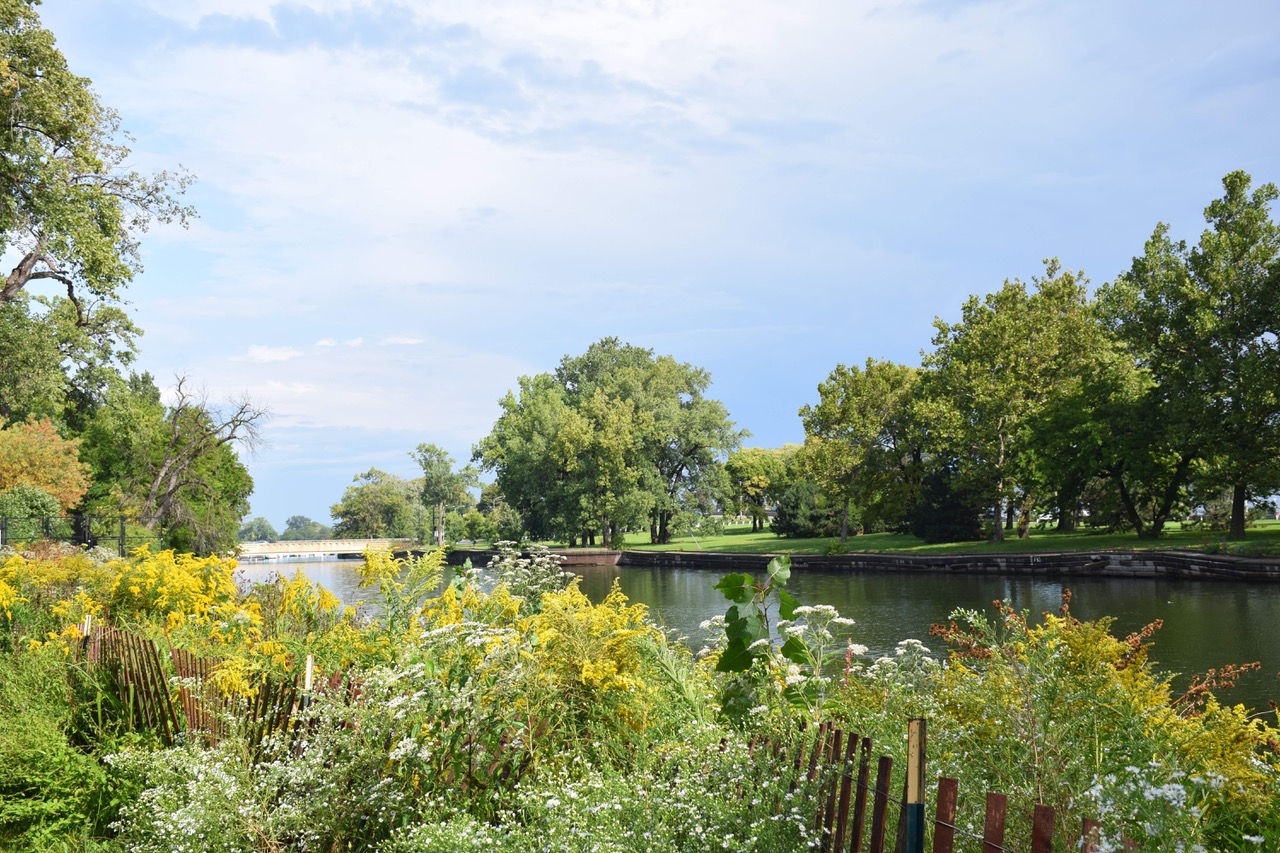 Lincoln Park Landscape